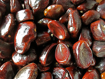 Tamarind Seeds 1